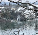 IMG_3535.jpg