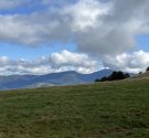 IMG_3169.jpg