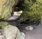 IMG_3886.jpg