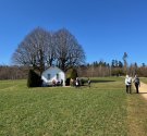 IMG_5601.jpg