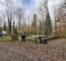 IMG_7115.jpg