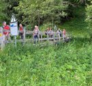 IMG_4341.jpg