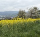 IMG_7886.JPG