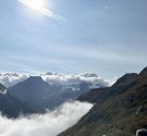 IMG_6545.jpg
