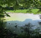 IMG_6177.jpg