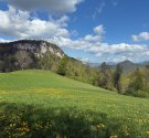 IMG_1011.jpeg