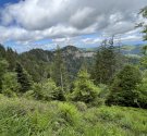 IMG_4177.jpg