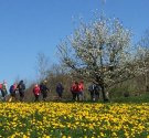 IMG_9922.JPG