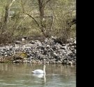 K1024_IMG_6808.JPG