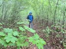 IMG_5894.jpg