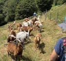 IMG_1253.jpeg